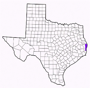 newton county texas fire, fire departments in newton county, newton county tx fire stations, volunteer fire department, newton county texas, newton county fire station numbers, newton county fire jobs, newton county live dispatch, newton county fire departments, newton county ems, newton county ambulance, newton county texas firefighters