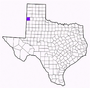 parmer county texas fire, fire departments in parmer county, parmer county tx fire stations, volunteer fire department, parmer county texas, parmer county fire station numbers, parmer county fire jobs, parmer county live dispatch, parmer county fire departments, parmer county ems, parmer county ambulance, parmer county texas firefighters