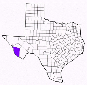 presidio county texas fire, fire departments in presidio county, presidio county tx fire stations, volunteer fire department, presidio county texas, presidio county fire station numbers, presidio county fire jobs, presidio county live dispatch, presidio county fire departments, presidio county ems, presidio county ambulance, presidio county texas firefighters