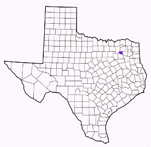 rains county texas fire, fire departments in rains county, rains county tx fire stations, volunteer fire department, rains county texas, rains county fire station numbers, rains county fire jobs, rains county live dispatch, rains county fire departments, rains county ems, rains county ambulance, rains county texas firefighters