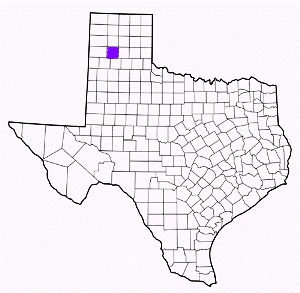 randall county texas fire, fire departments in randall county, randall county tx fire stations, volunteer fire department, randall county texas, randall county fire station numbers, randall county fire jobs, randall county live dispatch, randall county fire departments, randall county ems, randall county ambulance, randall county texas firefighters