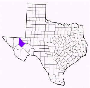 reeves county texas fire, fire departments in reeves county, reeves county tx fire stations, volunteer fire department, reeves county texas, reeves county fire station numbers, reeves county fire jobs, reeves county live dispatch, reeves county fire departments, reeves county ems, reeves county ambulance, reeves county texas firefighters