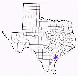 refugio county texas fire, fire departments in refugio county, refugio county tx fire stations, volunteer fire department, refugio county texas, refugio county fire station numbers, refugio county fire jobs, refugio county live dispatch, refugio county fire departments, refugio county ems, refugio county ambulance, refugio county texas firefighters