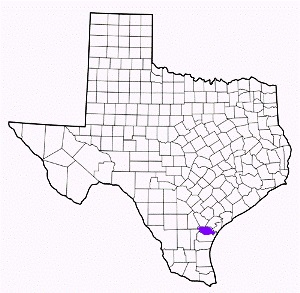 san patricio county texas fire, fire departments in san patricio county, san patricio county tx fire stations, volunteer fire department, san patricio county texas, san patricio county fire station numbers, san patricio county fire jobs, san patricio county live dispatch, san patricio county fire departments, san patricio county ems, san patricio county ambulance, san patricio county texas firefighters