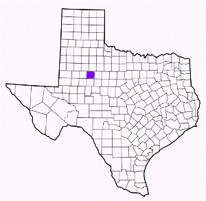 scurry county texas fire, fire departments in scurry county, scurry county tx fire stations, volunteer fire department, scurry county texas, scurry county fire station numbers, scurry county fire jobs, scurry county live dispatch, scurry county fire departments, scurry county ems, scurry county ambulance, scurry county texas firefighters