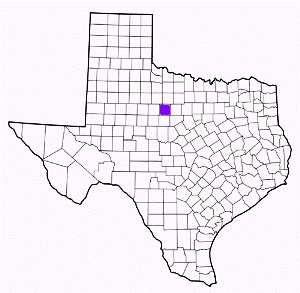 shackelford county texas fire, fire departments in shackelford county, shackelford county tx fire stations, volunteer fire department, shackelford county texas, shackelford county fire station numbers, shackelford county fire jobs, shackelford county live dispatch, shackelford county fire departments, shackelford county ems, shackelford county ambulance, shackelford county texas firefighters
