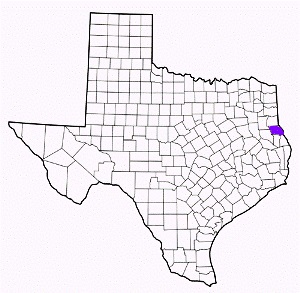 shelby county texas fire, fire departments in shelby county, shelby county tx fire stations, volunteer fire department, shelby county texas, shelby county fire station numbers, shelby county fire jobs, shelby county live dispatch, shelby county fire departments, shelby county ems, shelby county ambulance, shelby county texas firefighters