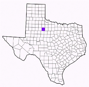 stonewall county texas fire, fire departments in stonewall county, stonewall county tx fire stations, volunteer fire department, stonewall county texas, stonewall county fire station numbers, stonewall county fire jobs, stonewall county live dispatch, stonewall county fire departments, stonewall county ems, stonewall county ambulance, stonewall county texas firefighters