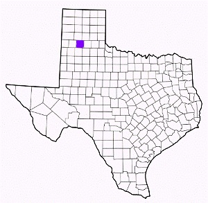 swisher county texas fire, fire departments in swisher county, swisher county tx fire stations, volunteer fire department, swisher county texas, swisher county fire station numbers, swisher county fire jobs, swisher county live dispatch, swisher county fire departments, swisher county ems, swisher county ambulance, swisher county texas firefighters