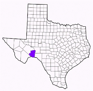terrell county texas fire, fire departments in terrell county, terrell county tx fire stations, volunteer fire department, terrell county texas, terrell county fire station numbers, terrell county fire jobs, terrell county live dispatch, terrell county fire departments, terrell county ems, terrell county ambulance, terrell county texas firefighters
