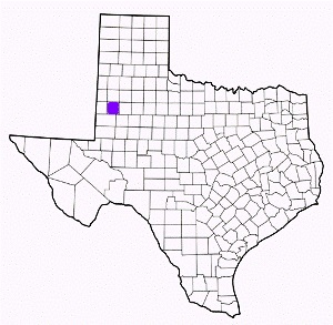 terry county texas fire, fire departments in terry county, terry county tx fire stations, volunteer fire department, terry county texas, terry county fire station numbers, terry county fire jobs, terry county live dispatch, terry county fire departments, terry county ems, terry county ambulance, terry county texas firefighters
