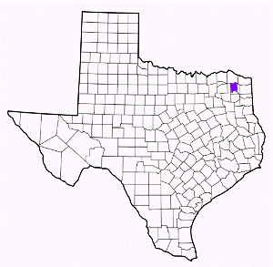 titus county texas fire, fire departments in titus county, titus county tx fire stations, volunteer fire department, titus county texas, titus county fire station numbers, titus county fire jobs, titus county live dispatch, titus county fire departments, titus county ems, titus county ambulance, titus county texas firefighters