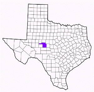tom green county texas fire, fire departments in tom green county, tom green county tx fire stations, volunteer fire department, tom green county texas, tom green county fire station numbers, tom green county fire jobs, tom green county live dispatch, tom green county fire departments, tom green county ems, tom green county ambulance, tom green county texas firefighters
