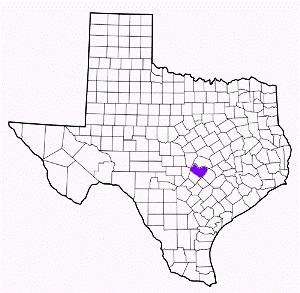 travis county texas fire, fire departments in travis county, travis county tx fire stations, volunteer fire department, travis county texas, travis county fire station numbers, travis county fire jobs, travis county live dispatch, travis county fire departments, travis county ems, travis county ambulance, travis county texas firefighters