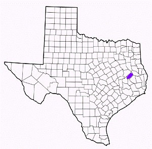 trinity county texas fire, fire departments in trinity county, trinity county tx fire stations, volunteer fire department, trinity county texas, trinity county fire station numbers, trinity county fire jobs, trinity county live dispatch, trinity county fire departments, trinity county ems, trinity county ambulance, trinity county texas firefighters