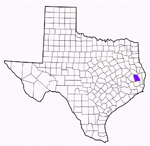 tyler county texas fire, fire departments in tyler county, tyler county tx fire stations, volunteer fire department, tyler county texas, tyler county fire station numbers, tyler county fire jobs, tyler county live dispatch, tyler county fire departments, tyler county ems, tyler county ambulance, tyler county texas firefighters