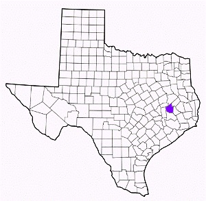 walker county texas fire, fire departments in walker county, walker county tx fire stations, volunteer fire department, walker county texas, walker county fire station numbers, walker county fire jobs, walker county live dispatch, walker county fire departments, walker county ems, walker county ambulance, walker county texas firefighters