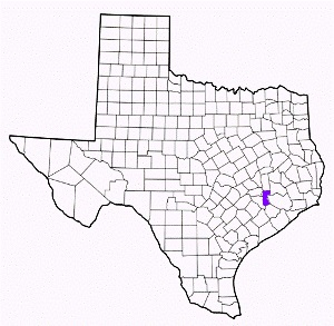 waller county texas fire, fire departments in waller county, waller county tx fire stations, volunteer fire department, waller county texas, waller county fire station numbers, waller county fire jobs, waller county live dispatch, waller county fire departments, waller county ems, waller county ambulance, waller county texas firefighters