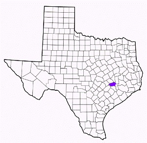 washington county texas fire, fire departments in washington county, washington county tx fire stations, volunteer fire department, washington county texas, washington county fire station numbers, washington county fire jobs, washington county live dispatch, washington county fire departments, washington county ems, washington county ambulance, washington county texas firefighters