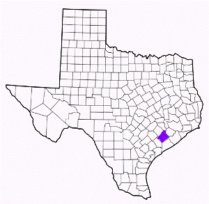 wharton county texas fire, fire departments in wharton county, wharton county tx fire stations, volunteer fire department, wharton county texas, wharton county fire station numbers, wharton county fire jobs, wharton county live dispatch, wharton county fire departments, wharton county ems, wharton county ambulance, wharton county texas firefighters