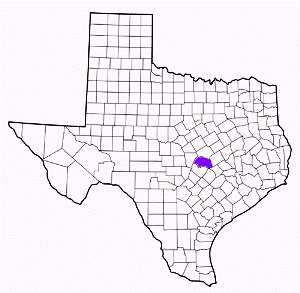 williamson county texas fire, fire departments in williamson county, williamson county tx fire stations, volunteer fire department, williamson county texas, williamson county fire station numbers, williamson county fire jobs, williamson county live dispatch, williamson county fire departments, williamson county ems, williamson county ambulance, williamson county texas firefighters