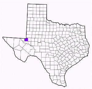 winkler county texas fire, fire departments in winkler county, winkler county tx fire stations, volunteer fire department, winkler county texas, winkler county fire station numbers, winkler county fire jobs, winkler county live dispatch, winkler county fire departments, winkler county ems, winkler county ambulance, winkler county texas firefighters