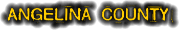 angelina county texas fire, fire departments in angelina county, angelina county tx fire stations, volunteer fire department, angelina county texas, angelina county fire station numbers, angelina county fire jobs, angelina county live dispatch, angelina county fire departments, angelina county ems, angelina county ambulance, angelina county texas firefighters