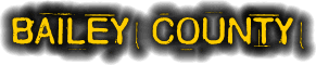 bailey county texas fire, fire departments in bailey county, bailey county tx fire stations, volunteer fire department, bailey county texas, bailey county fire station numbers, bailey county fire jobs, bailey county live dispatch, bailey county fire departments, bailey county ems, bailey county ambulance, bailey county texas firefighters