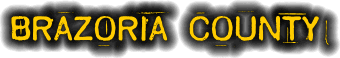 brazoria county texas fire, fire departments in brazoria county, brazoria county tx fire stations, volunteer fire department, brazoria county texas, brazoria county fire station numbers, brazoria county fire jobs, brazoria county live dispatch, brazoria county fire departments, brazoria county ems, brazoria county ambulance, brazoria county texas firefighters