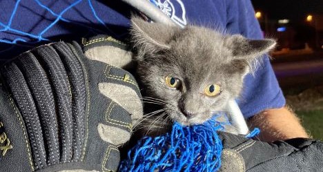 photo by Corpus Christi Fire Department