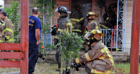 photo by Avi S Adelman