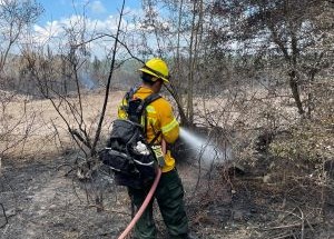 photo by East Montgomery County FD