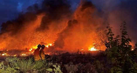 photo by Friberg Cooper VFD