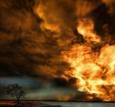 photo by Dionne Hartnett