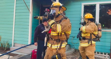 photo by La Marque Fire Department