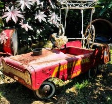 photo by Michael Martin