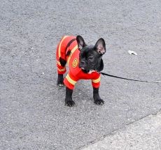 photo by Midland Fire Department