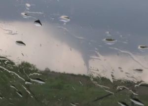 photo by Petrolia VFD